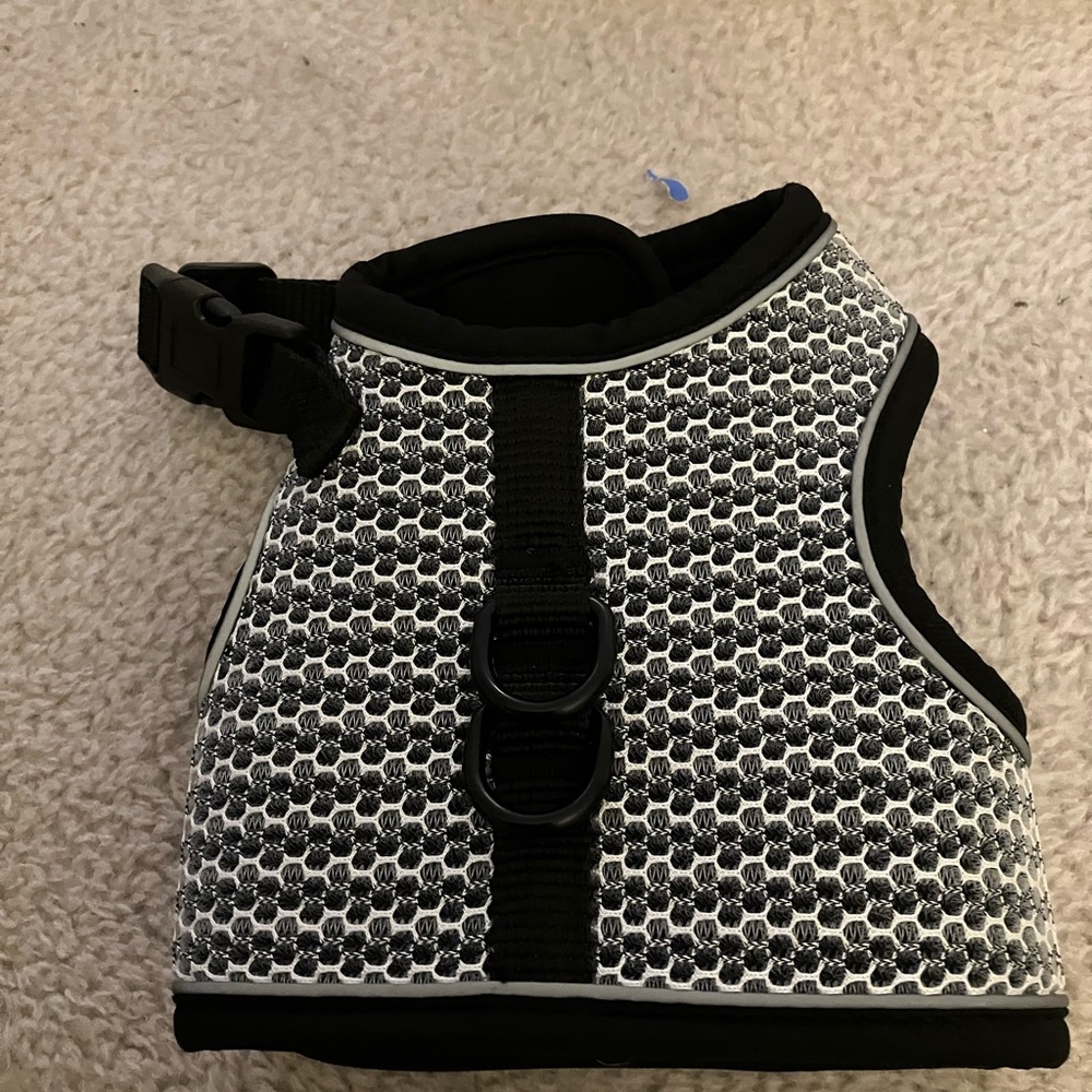 Dog harness for small dog